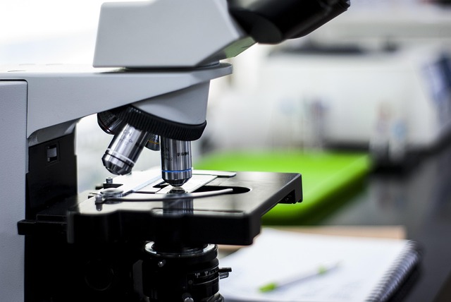 高效叔胺催化劑，適用于聚氨酯發(fā)泡和凝膠反應(yīng)的強效有機胺